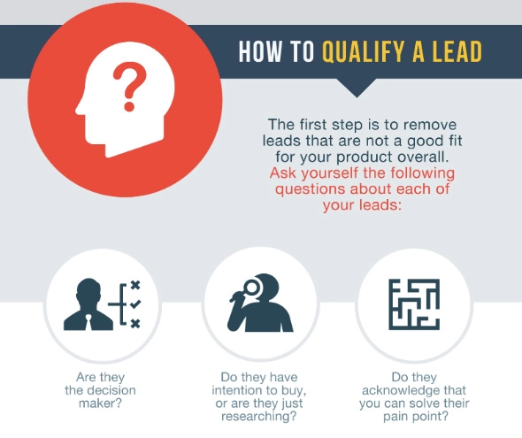 How to Qualify lead?
